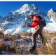 Трекінгові палиці Naturehike NH19DS001 Black