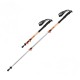 Трекінгові палиці Naturehike ST 01 6061 3-с (пара) NH17D001-Z Orange