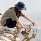 Відро складане прозоре Mobi Garden Bucket 10л NX23690001 sand