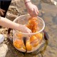 Відро складане прозоре Mobi Garden Bucket 20л NX23690002 sand