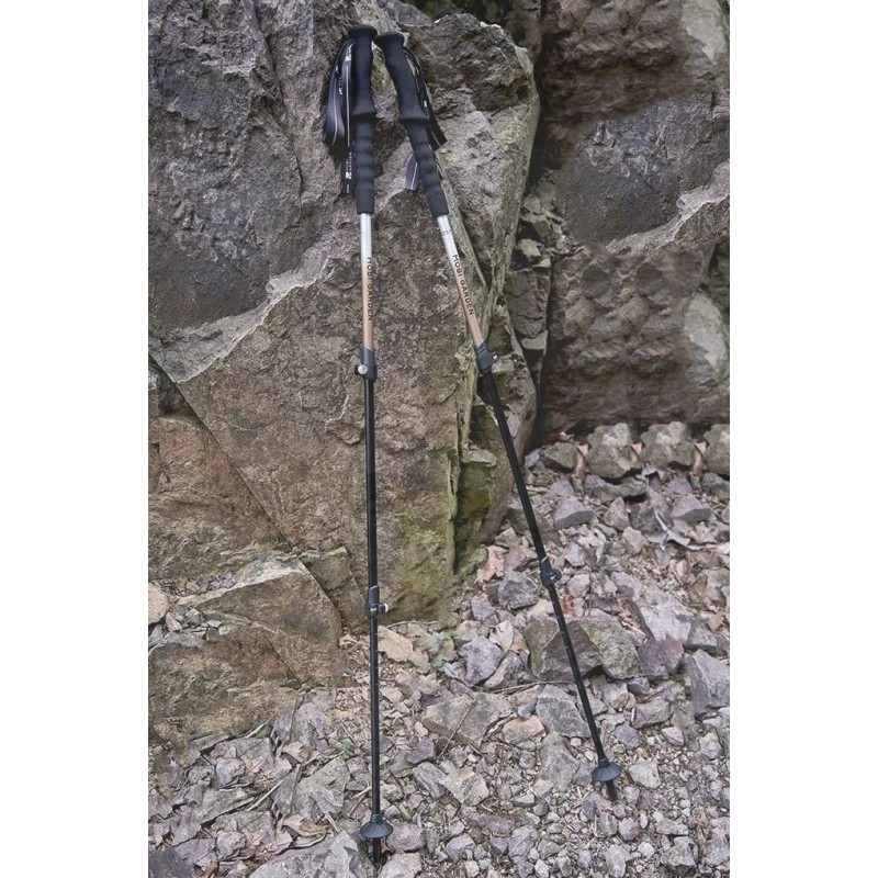 Трекінгові палиці Mobi Garden ZT-7075 NX23667001 gold