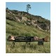 Ліжко розкладне Mobi Garden SL NX22665024 green