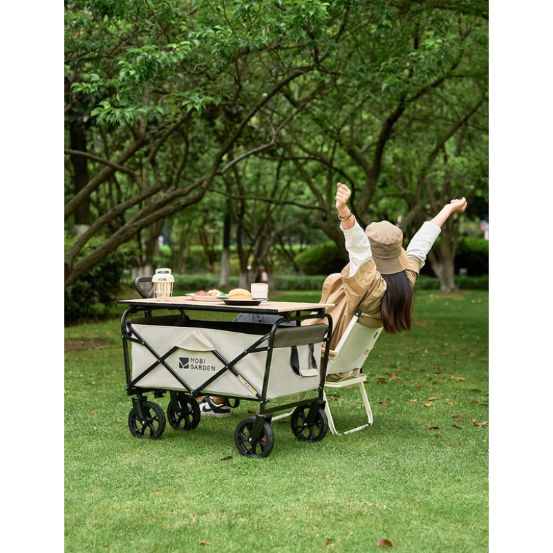 Візок складаний Mobi Garden Starry cart Pro NX23689006 black